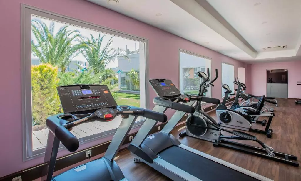 هتل پالم وینگز افسوس